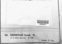 Image Associated With the Occurence